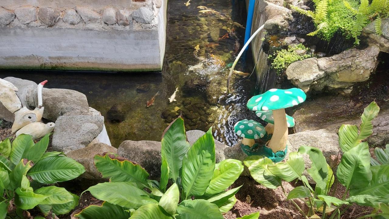 Gardenview Homestay Siargao ゼネラル・ルナ エクステリア 写真