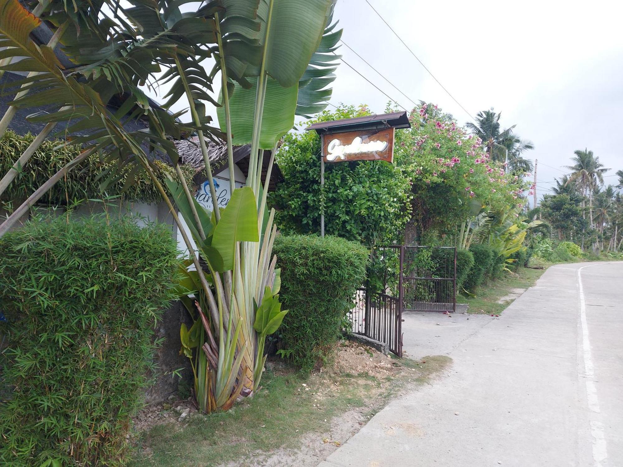 Gardenview Homestay Siargao ゼネラル・ルナ エクステリア 写真